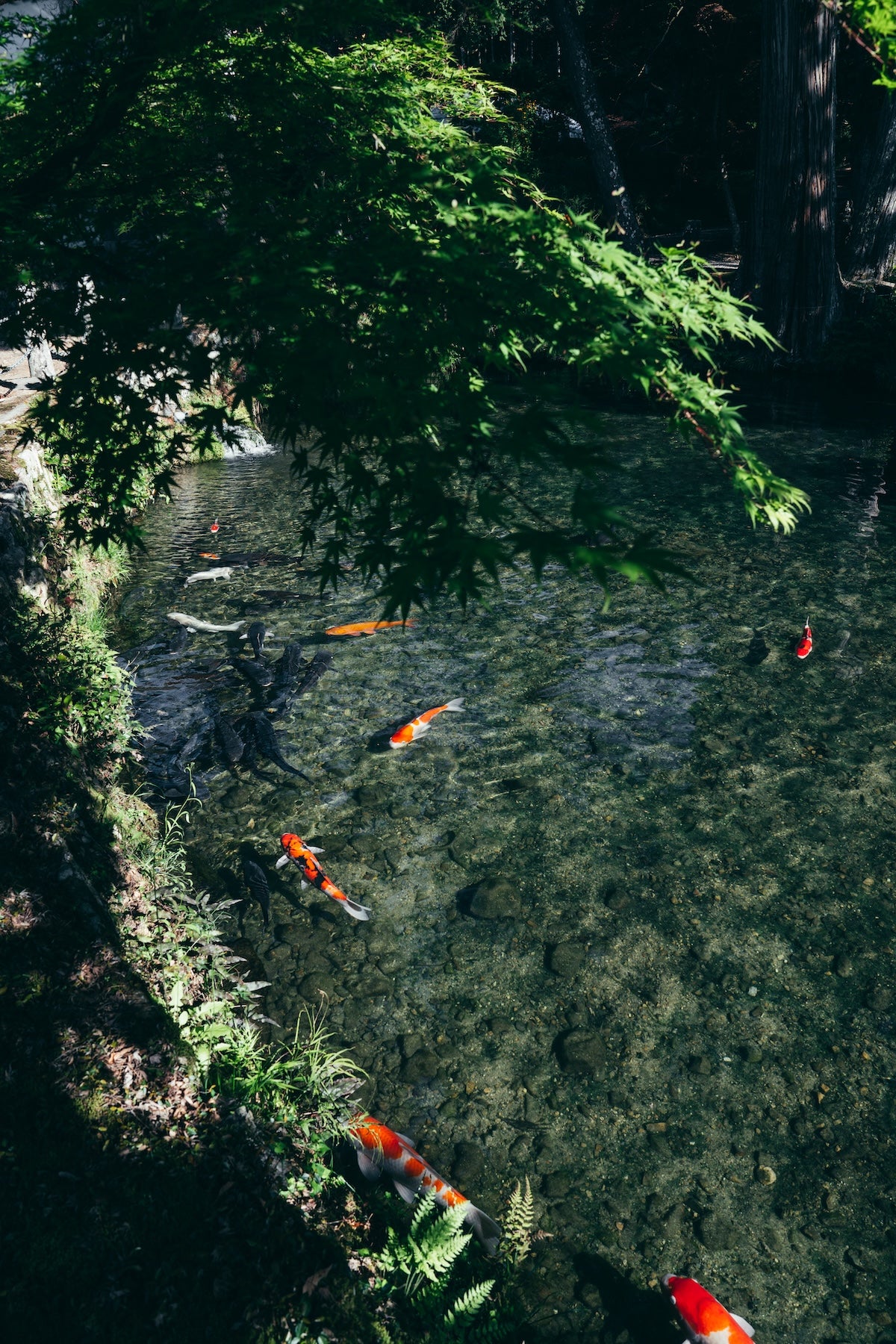 yukkey｜Lightroom Presets "-shinryoku-" and "-seijaku-"