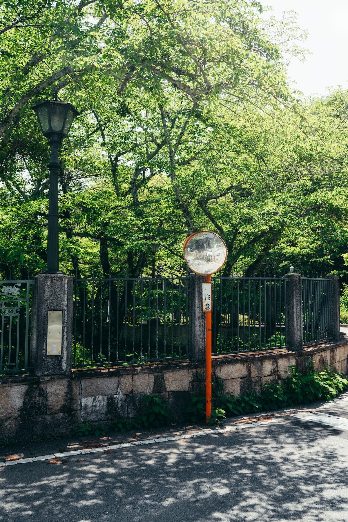 yukkey｜Lightroom Presets "-shinryoku-" and "-seijaku-"