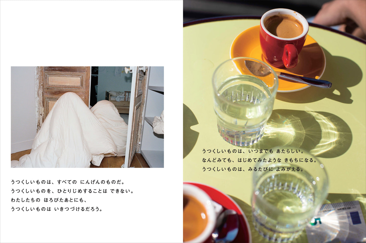 写真絵本「うつくしい！」写真 川島小鳥、文 谷川俊太郎 （送料無料）