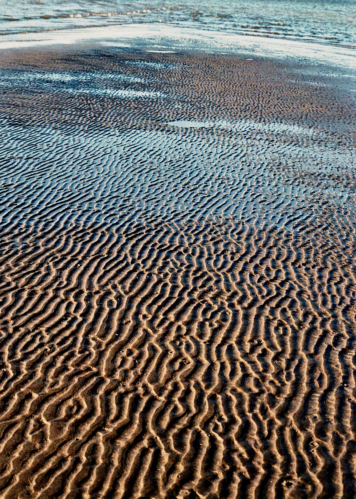 井崎竜太朗 写真集「ONE ANOTHER」（送料無料）