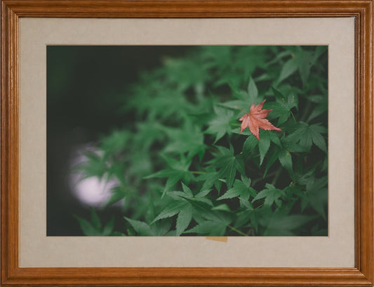 No.047 A：展示現品 ＜澤村洋兵 額装作品＞