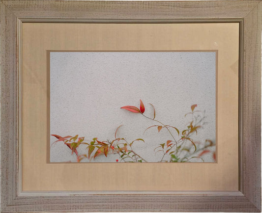 No.057 A：展示現品 ＜澤村洋兵 額装作品＞