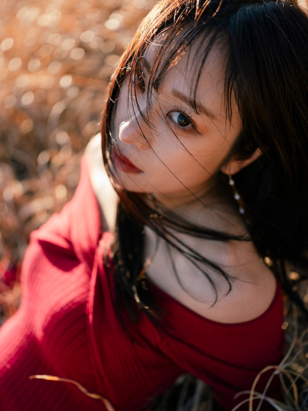 高橋伸哉｜Lightroomプリセット「yoka / 余香」「touka / 灯香」